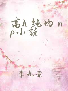 高h 纯肉 np小说