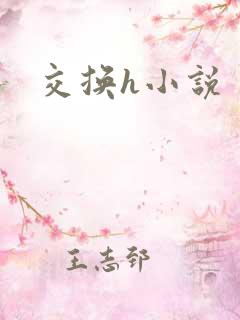 交换h小说