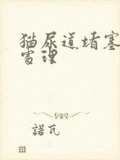 猫尿道堵塞怎么处理