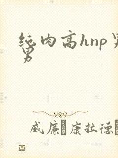 纯肉高hnp男男