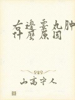 右边睾丸肿大是什么原因