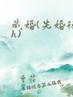 藏婚(先婚后爱h)