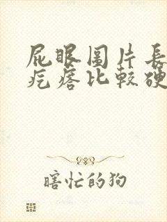 屁眼图片长了个疙瘩比较硬