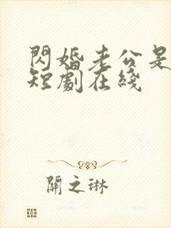 闪婚老公是豪门短剧在线