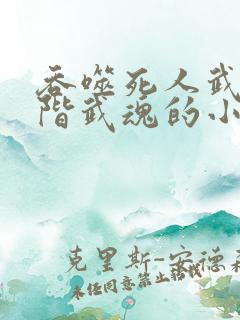 吞噬死人武魂进阶武魂的小说