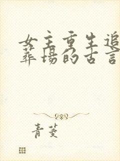 女主重生追夫火葬场的古言