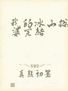 我的冰山总裁老婆完结