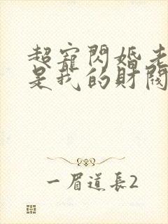 超宠闪婚老公竟是我的财阀大佬上司