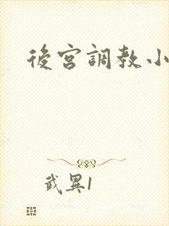 后宫调教小说h