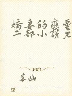 娇妻的恋爱精神二部小说免费阅读