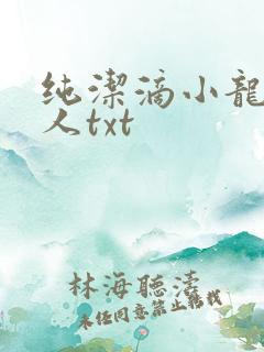 纯洁滴小龙捞尸人txt