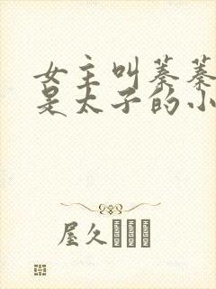 女主叫蓁蓁男主是太子的小说