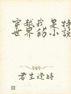 穿越我是特种兵世界的小说