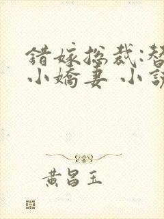 错嫁总裁:替身小娇妻 小说