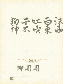 狗子吐白沫没精神不吃东西