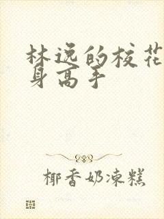 林逸的校花的贴身高手