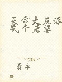 天命大反派女主几个老婆