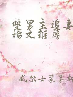 双男主追妻火葬场文推荐