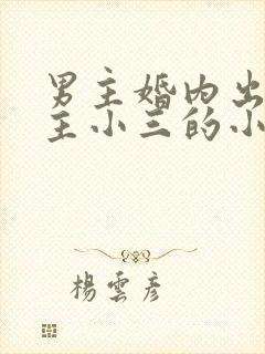 男主婚内出轨女主小三的小说