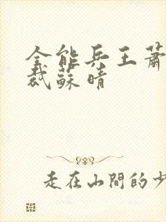 全能兵王萧晨总裁苏晴