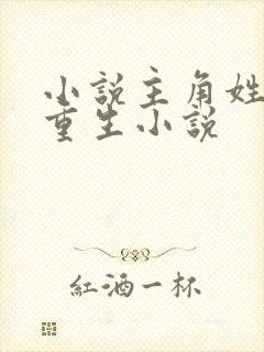 小说主角姓洛的重生小说