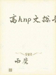 高hnp文总受