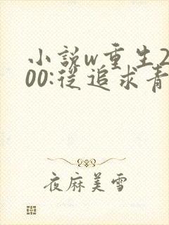 小说w重生2000:从追求青涩校花同桌开始》