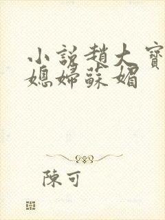 小说赵大宝及儿媳妇苏媚