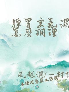 脾胃寒气湿气重怎么调理