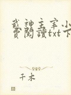 武神主宰小说免费阅读txt下载