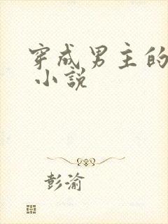 穿成男主的后妈 小说