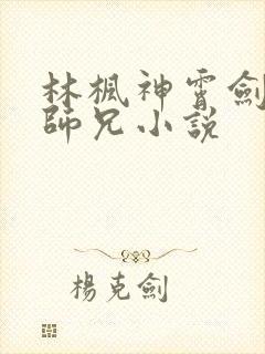 林枫神霄剑宗大师兄小说