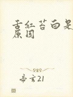 舌红苔白是什么原因