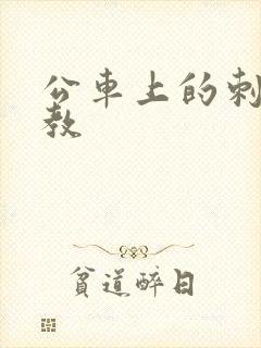 公车上的刺激调教