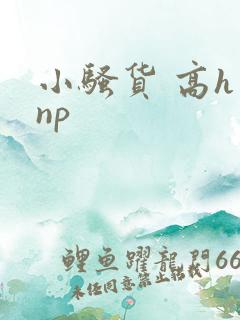 小骚货 高h np