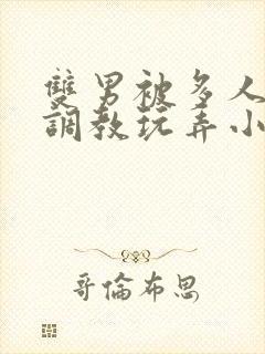 双男被多人道具调教玩弄小说