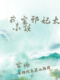 我家邪妃太嚣张 小说