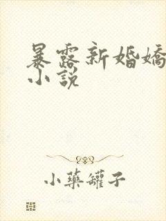 暴露新婚娇妻的小说
