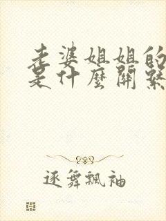 老婆姐姐的老公是什么关系