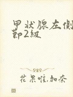 甲状腺左侧叶结节2级