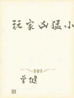 玩家凶猛小说看