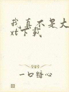 我真不是大佬txt下载