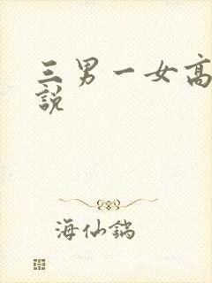 三男一女高h小说