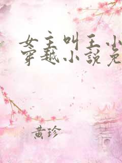 女主叫王小小的穿越小说免费阅读
