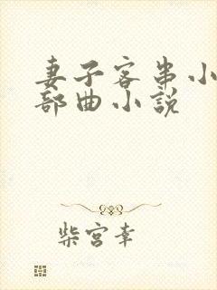 妻子客串小姐三部曲小说