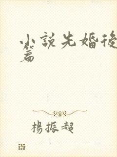 小说先婚后爱短篇