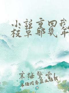 小说重回我爸当校草那几年在线看