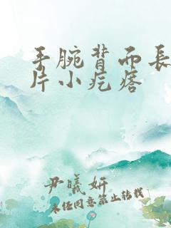 手腕背面长出一片小疙瘩