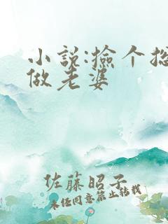 小说:捡个总裁做老婆