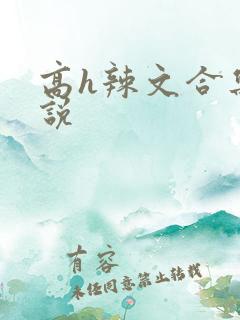 高h辣文合集小说